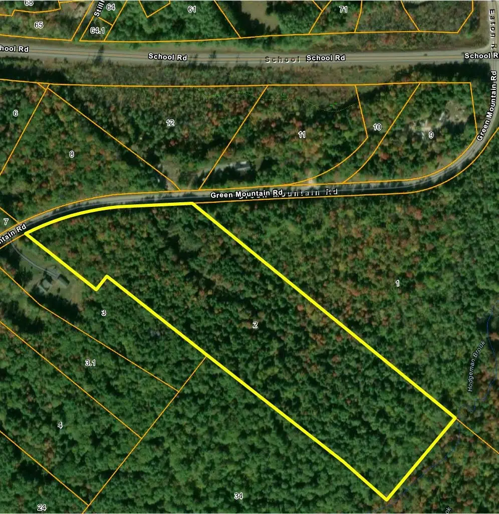 1010 Green Mountain Road, Effingham, NH 03882 - #1