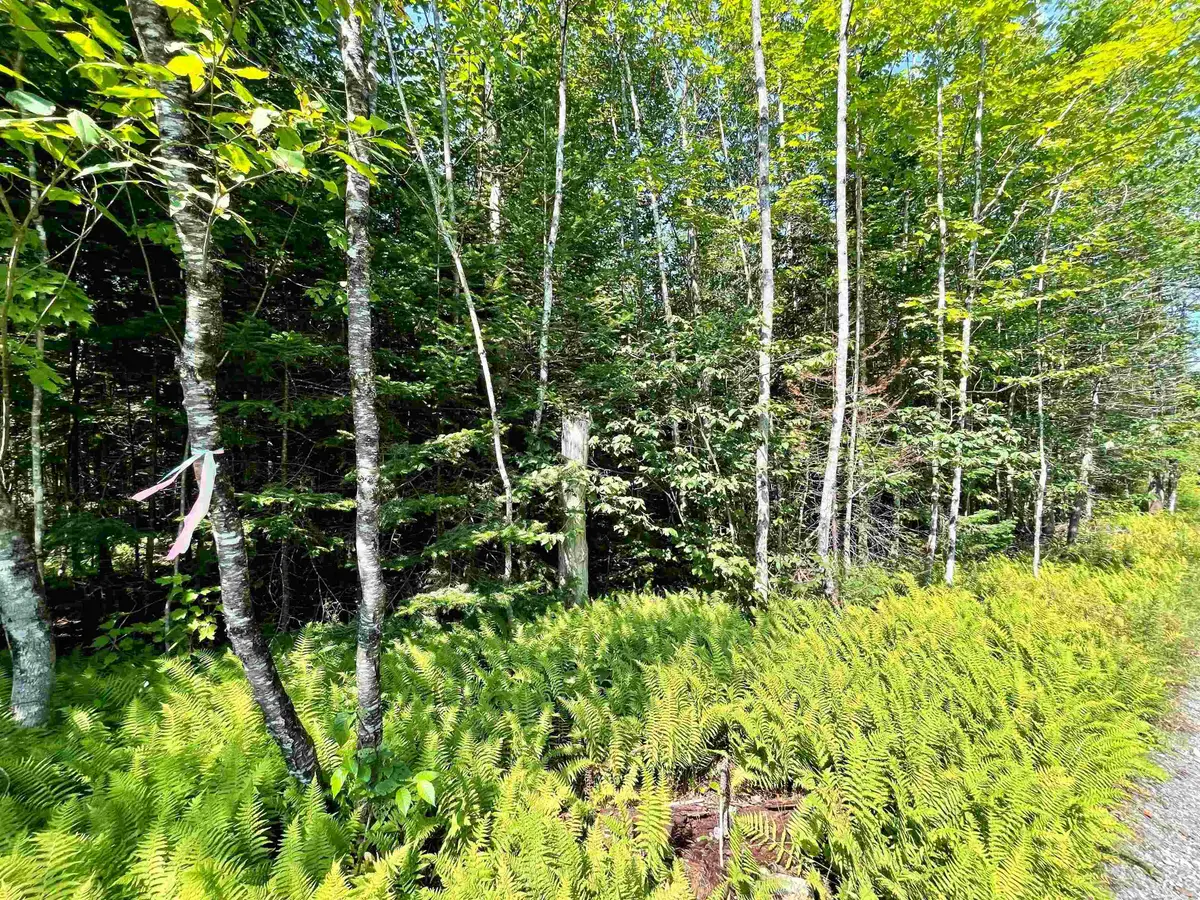 501 Martins Pond Lane, Peacham, VT 05862 - #1