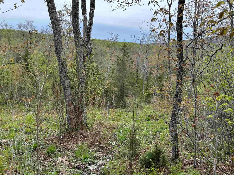 MapB2Lot16 Deadwater Road, Stewartstown, NH 03597 - #2