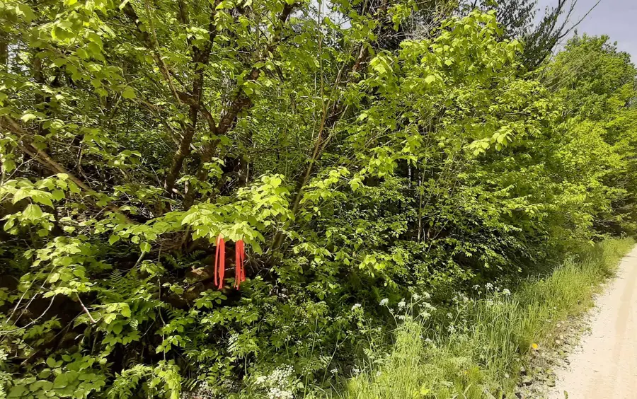 0 Summit Road, Mount Holly, VT 05758 - #3