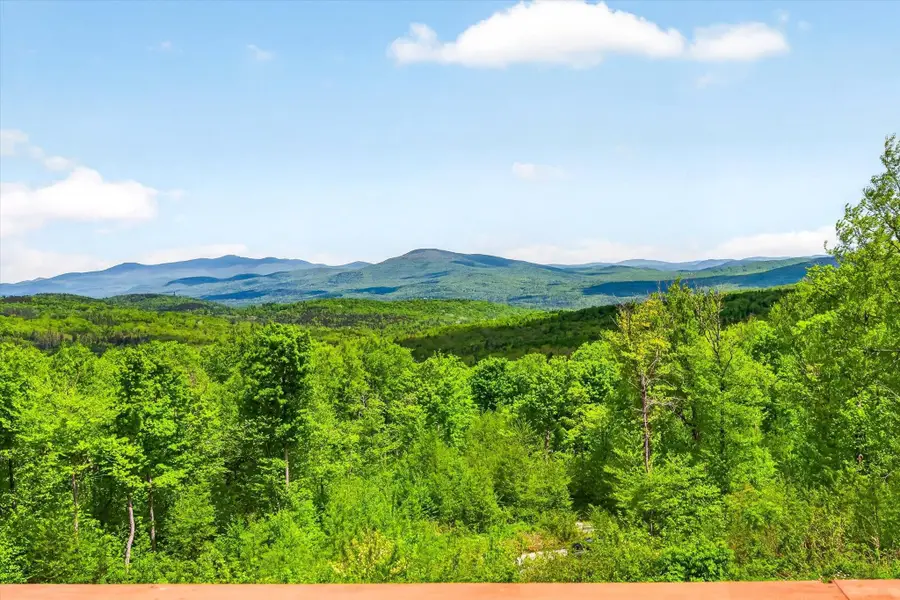 680 Government Road, Mount Holly, VT 05758 - #3