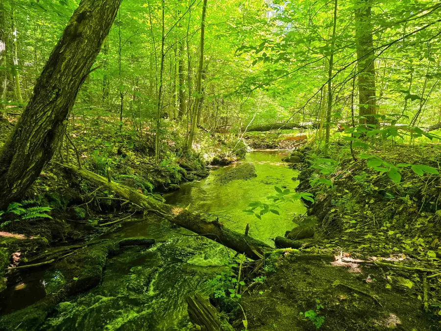 1905 Camp Munn Road, Bradford, VT 05033 - #2