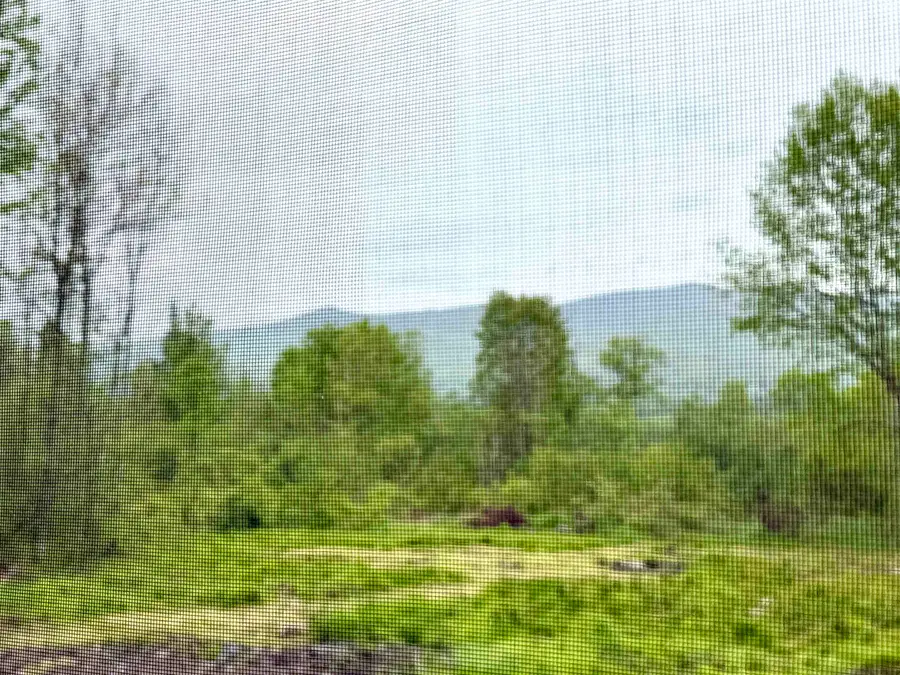 205 Whipple Road, Jefferson, NH 03583 - #3
