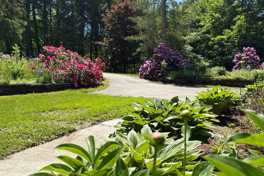 2206 Elmore Mountain Road, Elmore, VT 05661 - #3