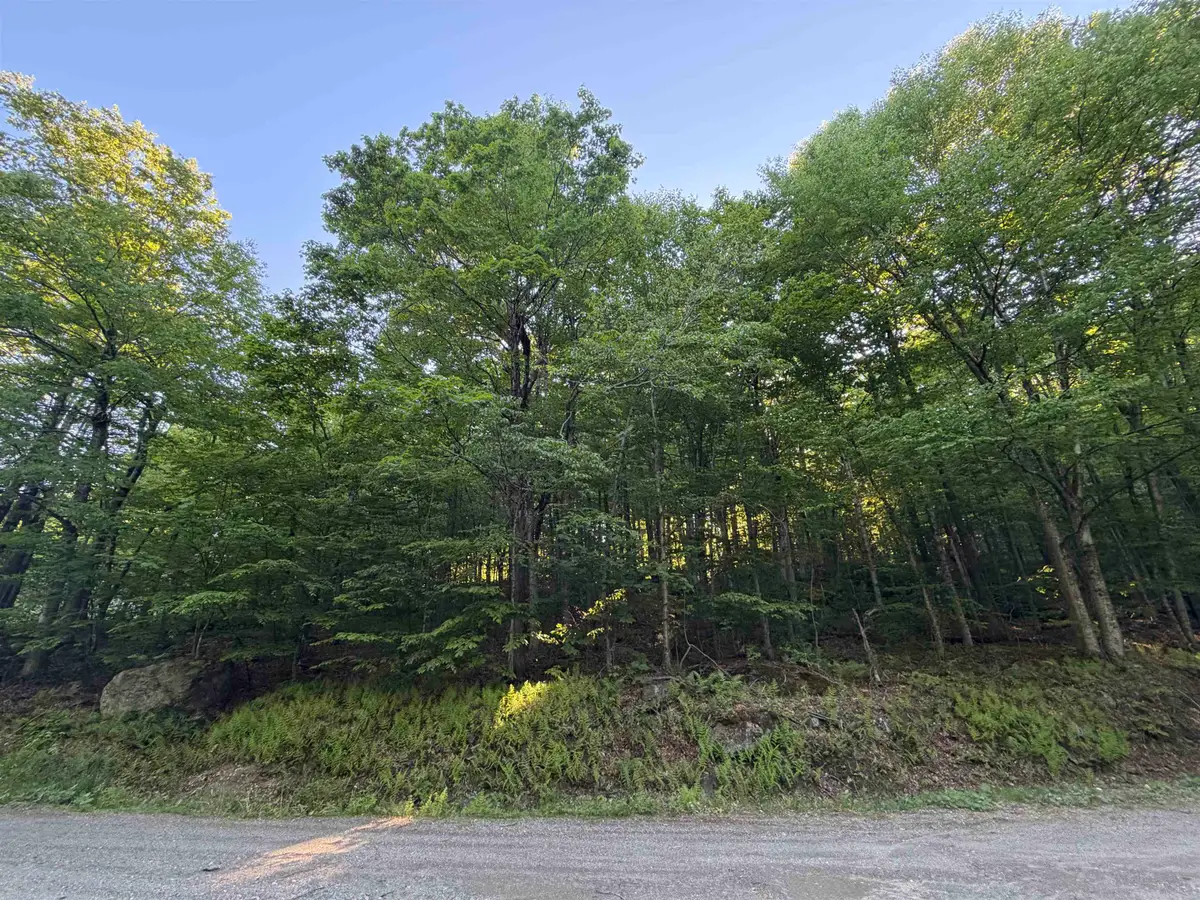 Scattered Timber Road, Wilmington, VT 05363 - #1