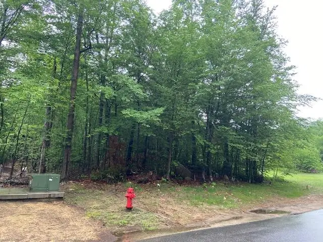 65 South Peak Road, Lincoln, NH 03251 - #1