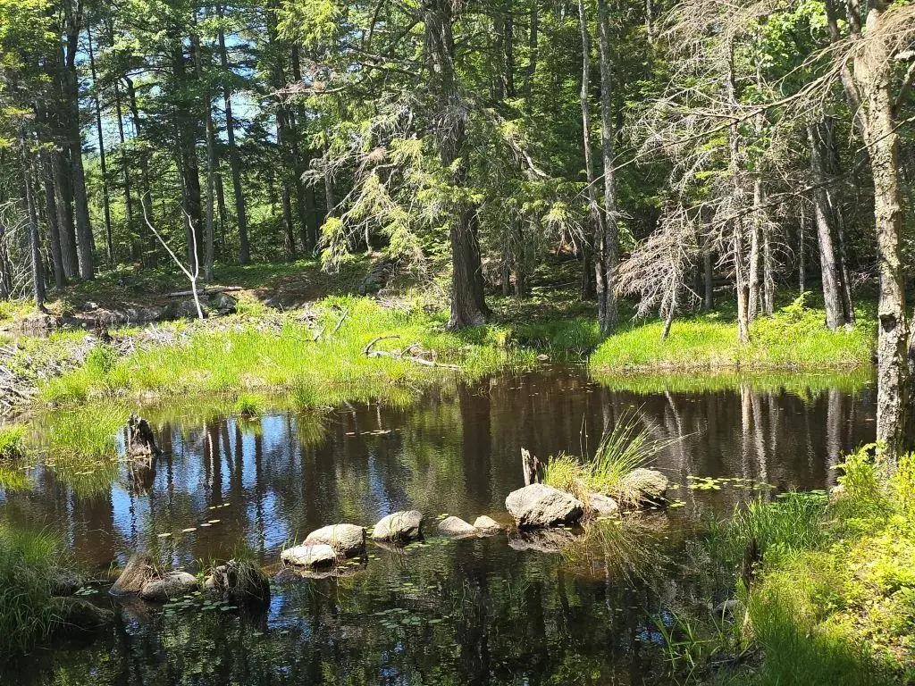 Baine Road #Map 47 Lot 1  & Map 11 Lot 2, Alstead, NH 03602 - #1