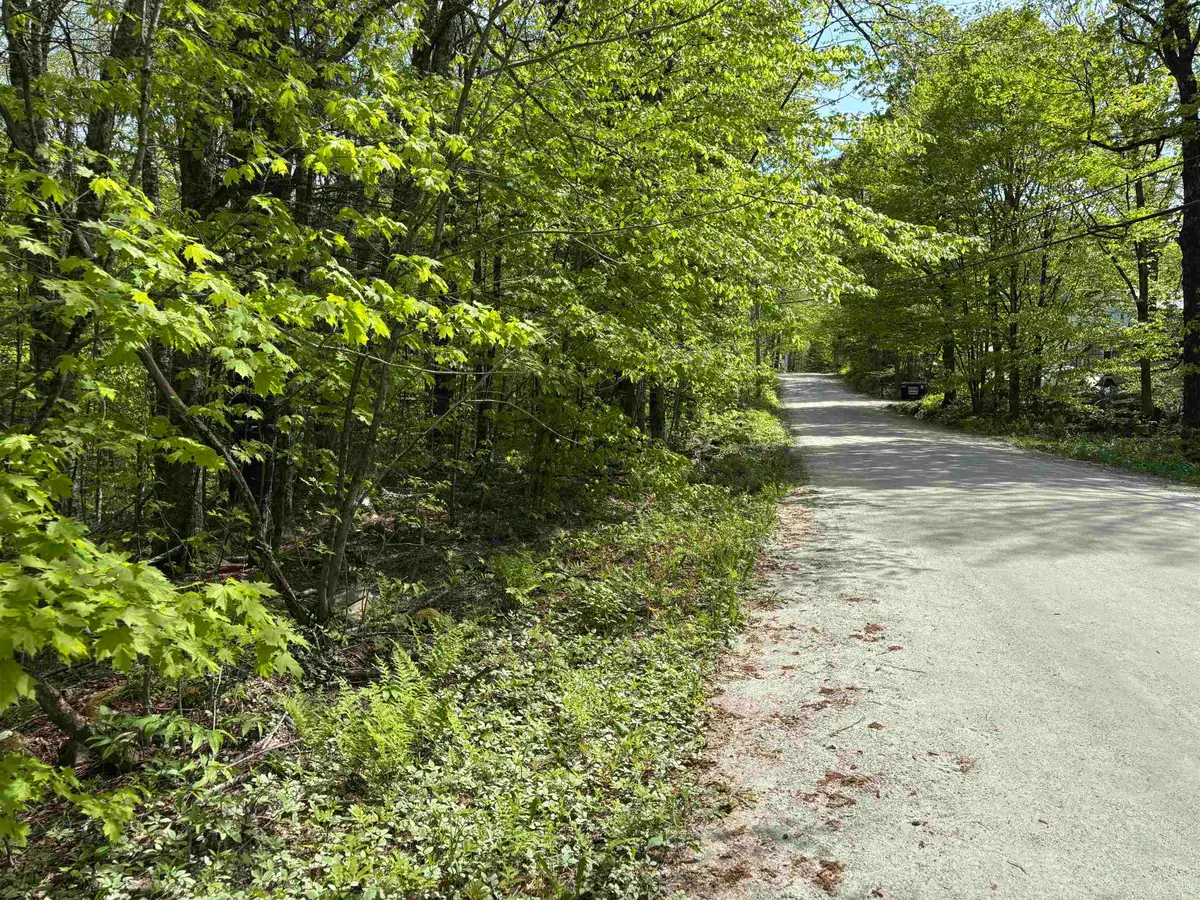 00 Snell Road, Chester, VT 05143 - #1