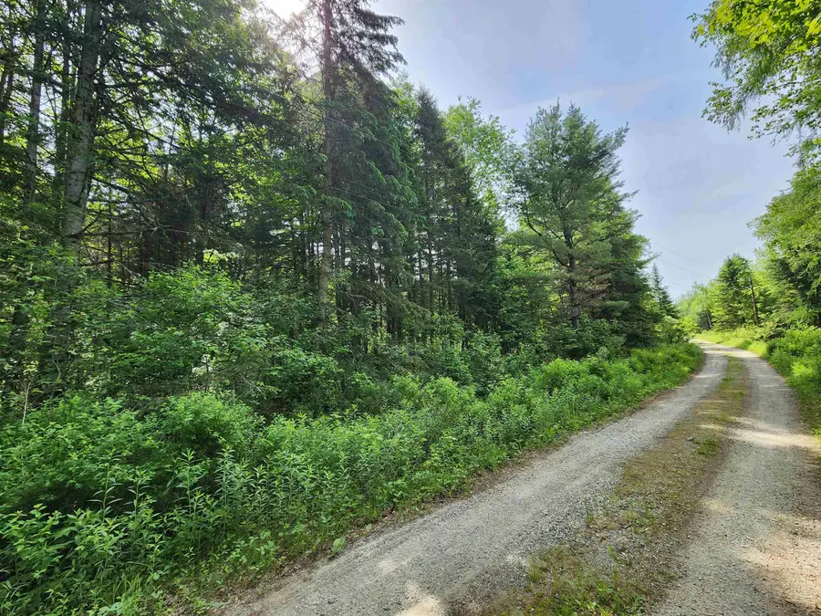 00 Boise Cascade Road, Dummer, NH 03579 - #2