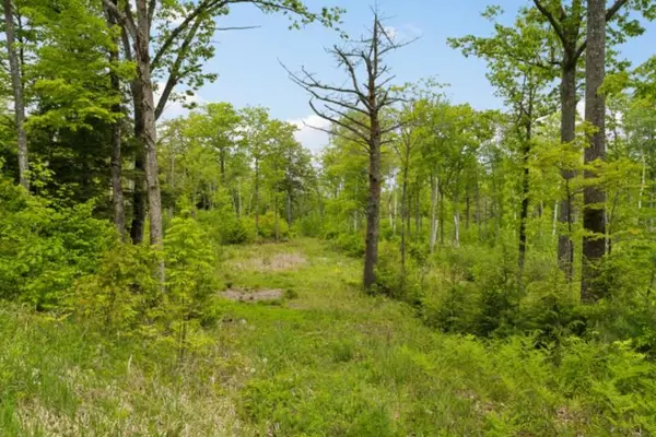 00 Canaan Street #Lot 8, Canaan, NH 03741