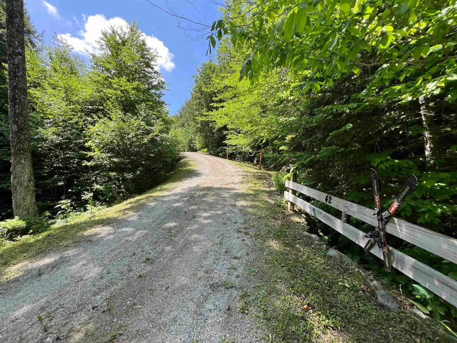 42 Bills Road, Stratton, VT 05360 - #3