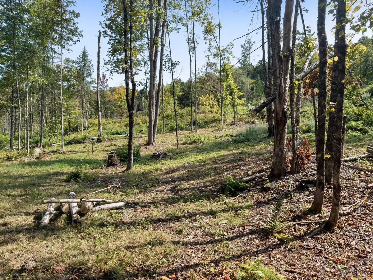 219 Weber Brook Lane, Craftsbury, VT 05826 - #1