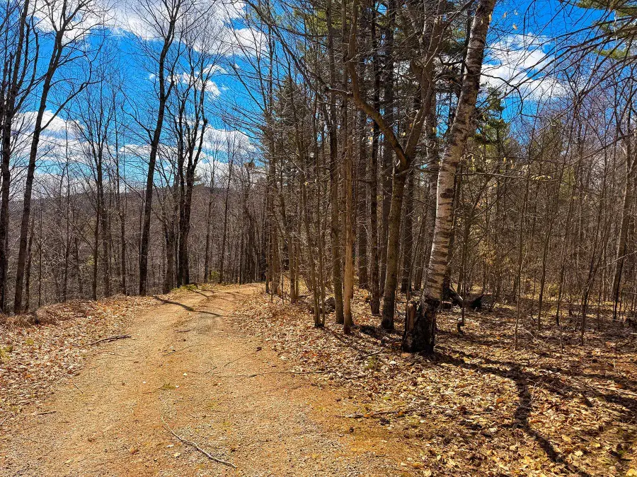 TM 407 L 35 Shem Valley Road, Alexandria, NH 03222 - #2