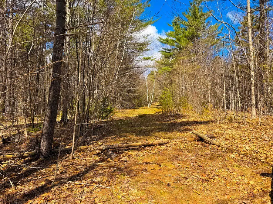 TM 407 L 35 Shem Valley Road, Alexandria, NH 03222 - #3
