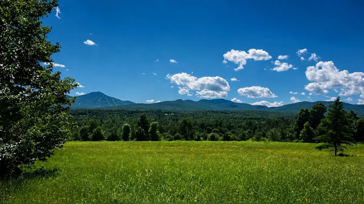 237 Loop Road, Jay, VT 05859 - #1
