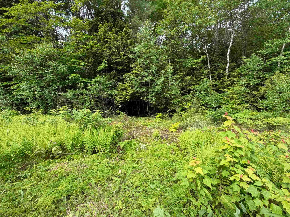 Mountain View Drive, Thornton, NH 03223 - #1