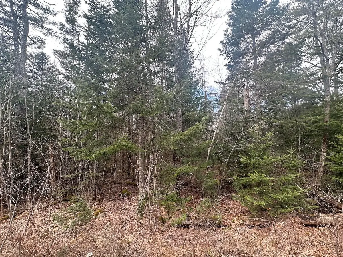 0 North Littleton Road, Littleton, NH 03561 - #1