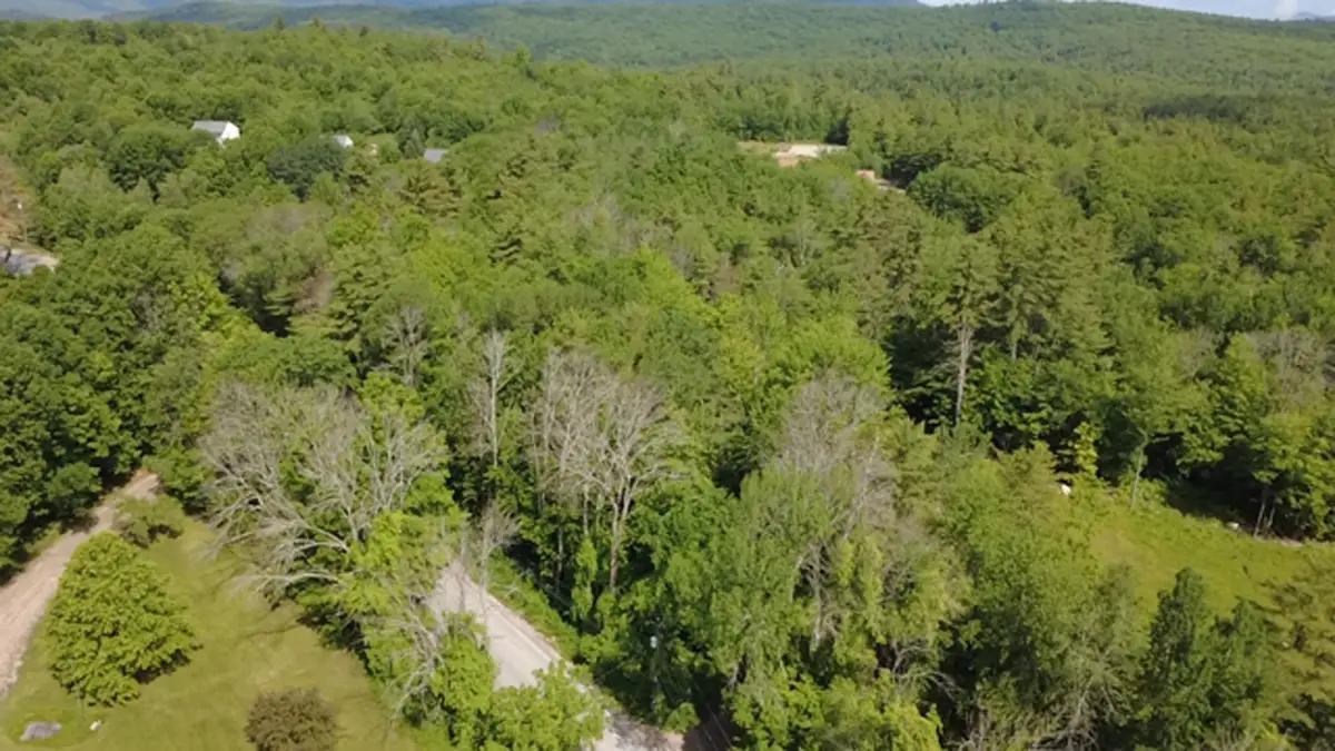 5 Brian Road, Ossipee, NH 03864 - #1