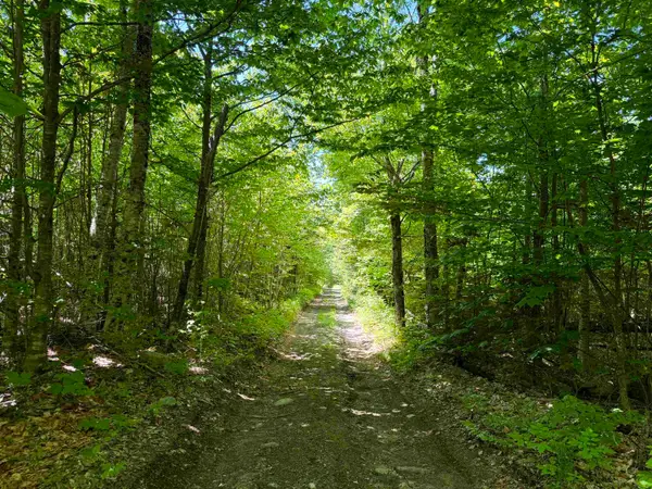 0 Georges Boulevard, East Haven, VT 05837