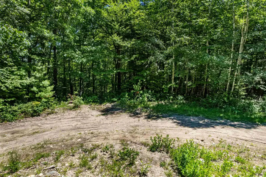 Lot 6 Akerman Road, Alexandria, NH 03222 - #3