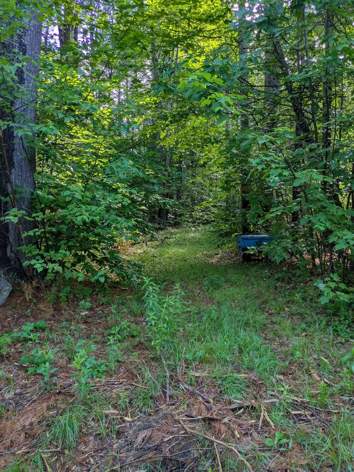 128 Brock Hill Road, Grafton, NH 03240 - #1