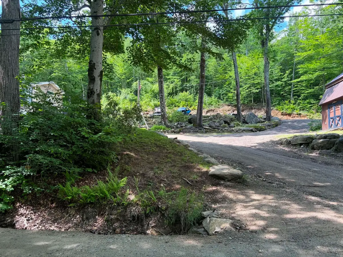 1336 Washburn Road, Alexandria, NH 03222 - #1