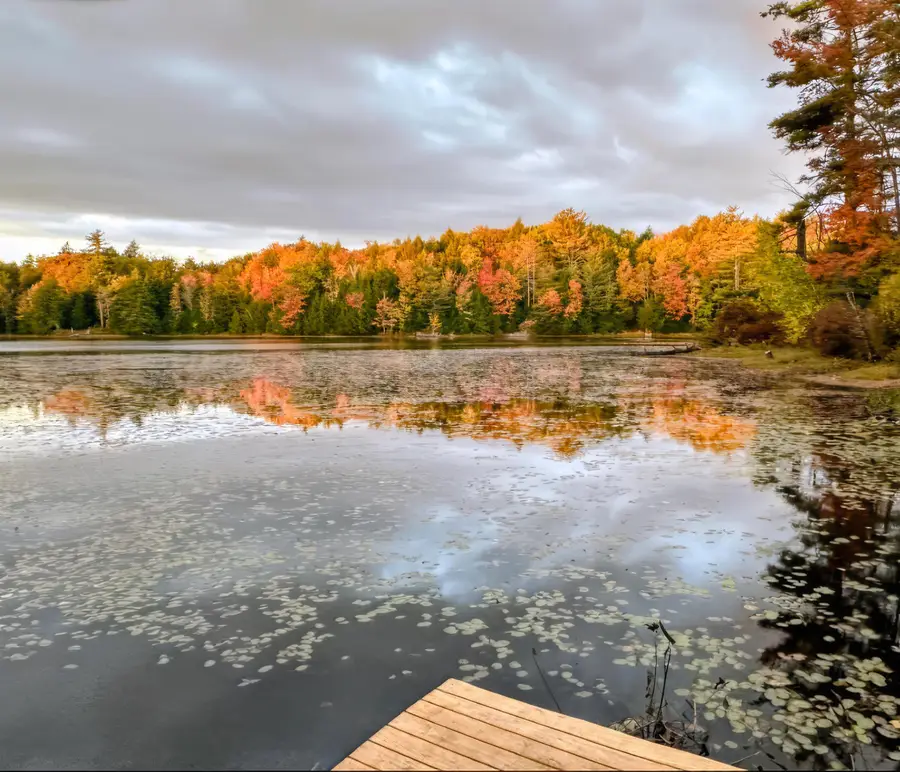 7-9 Robin Shore Drive, Canterbury, NH 03224 - #3