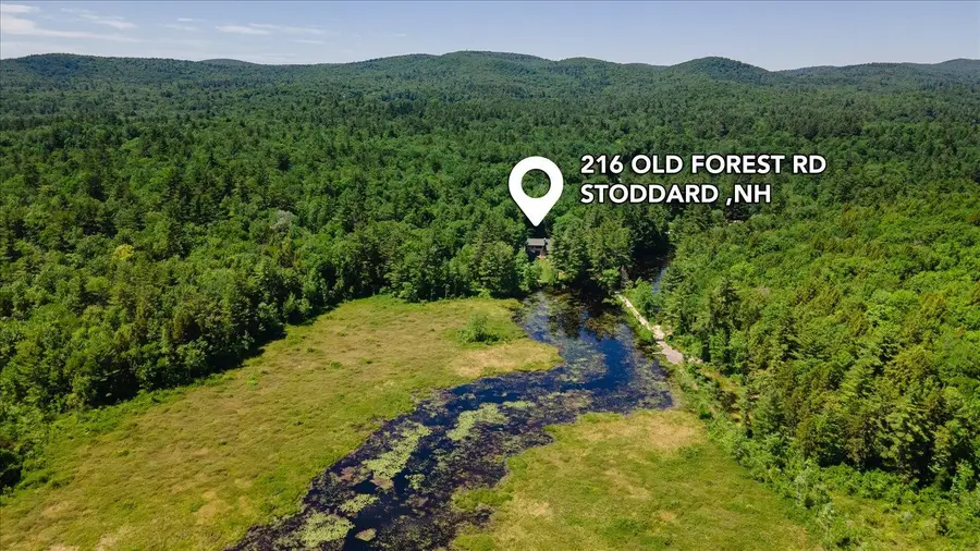 216 Old Forest Road, Stoddard, NH 03464 - #3