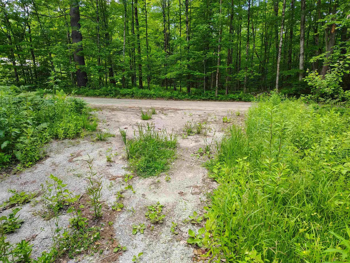 12 Frescoln Road, Wentworth, NH 03282 - #1