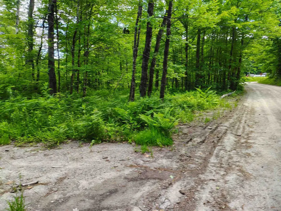 12 Frescoln Road, Wentworth, NH 03282 - #3