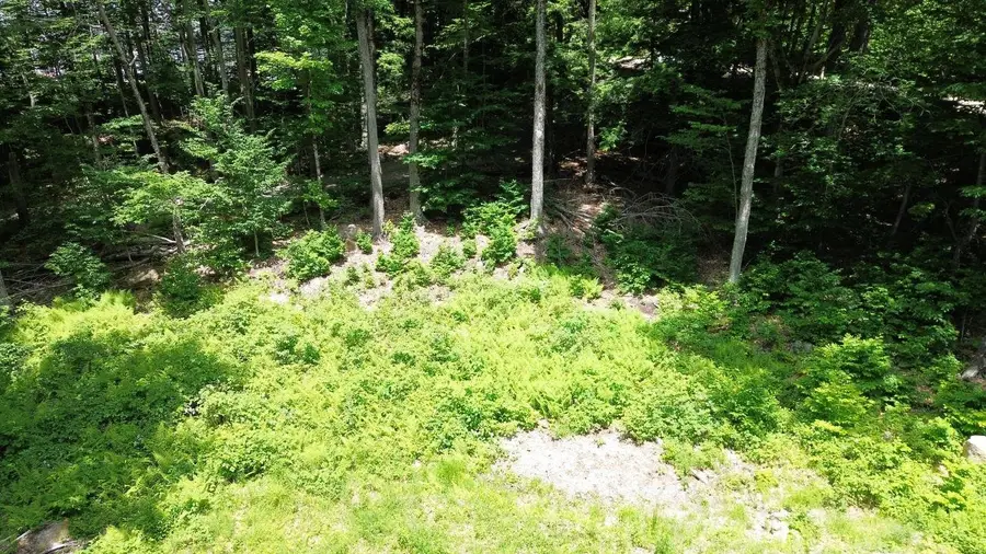 151 Red Coat Lane, Stoddard, NH 03464 - #3