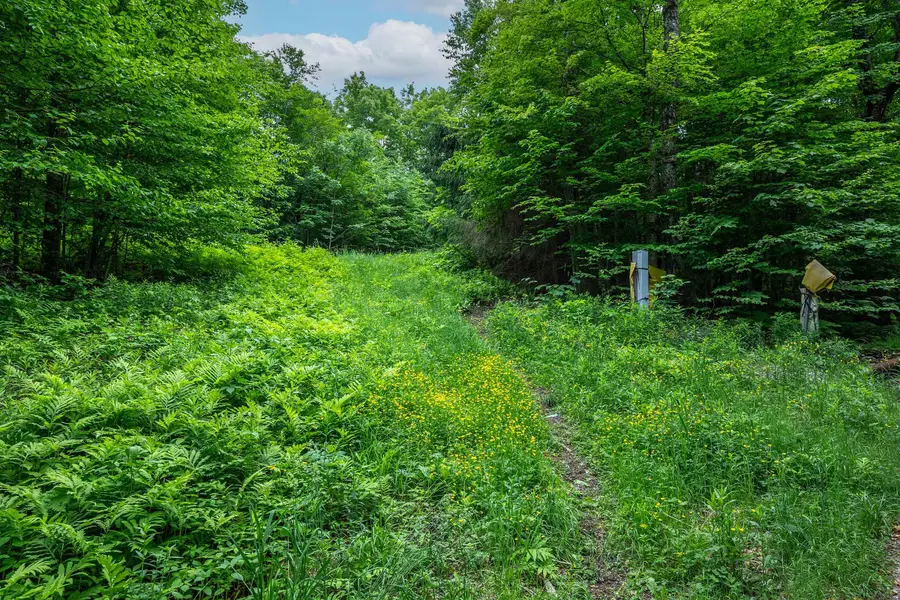 24 Sawmill Road, Stratton Mountain, VT 05155 - #3