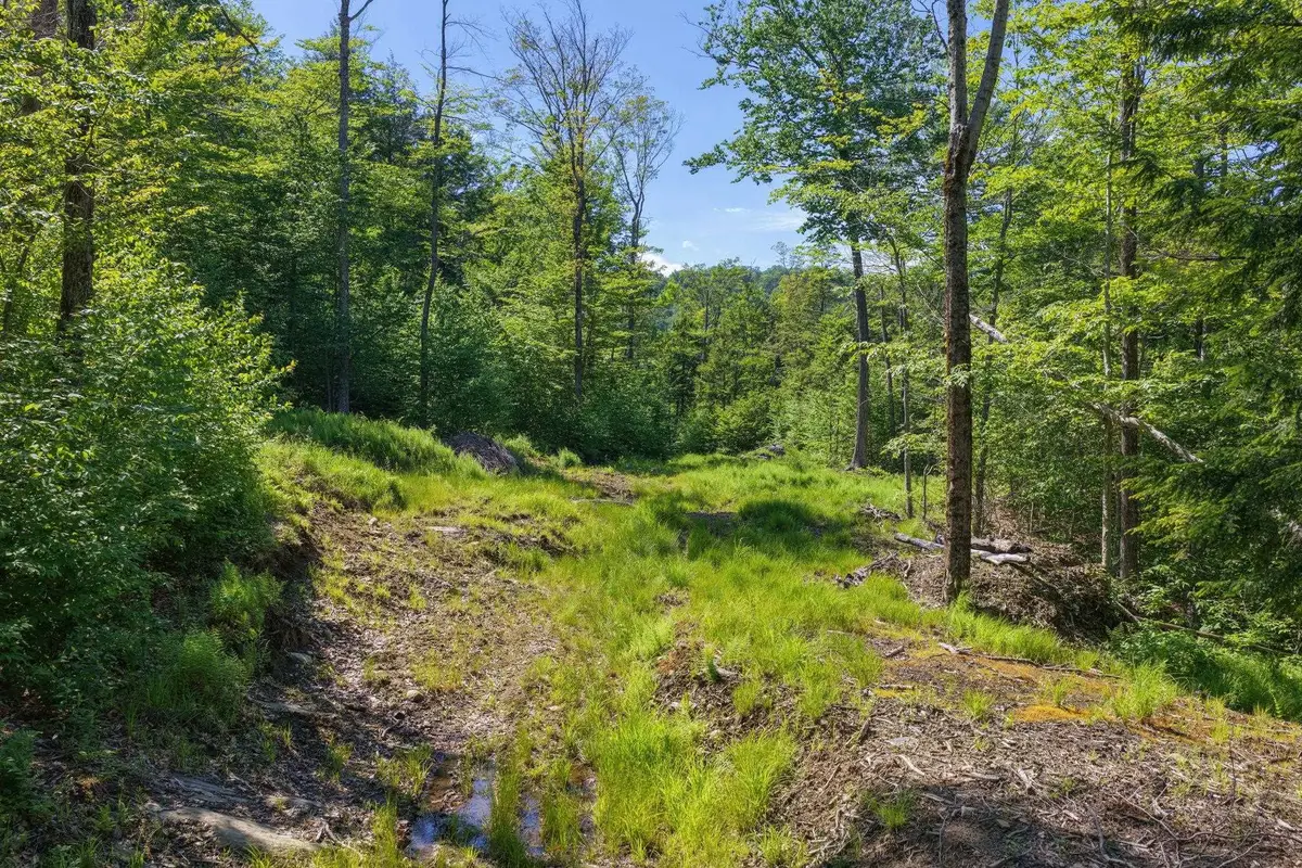 381 Whitaker Farm Road, Marlboro, VT 05344 - #1