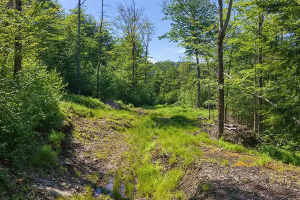 381 Whitaker Farm Road, Marlboro, VT 05344