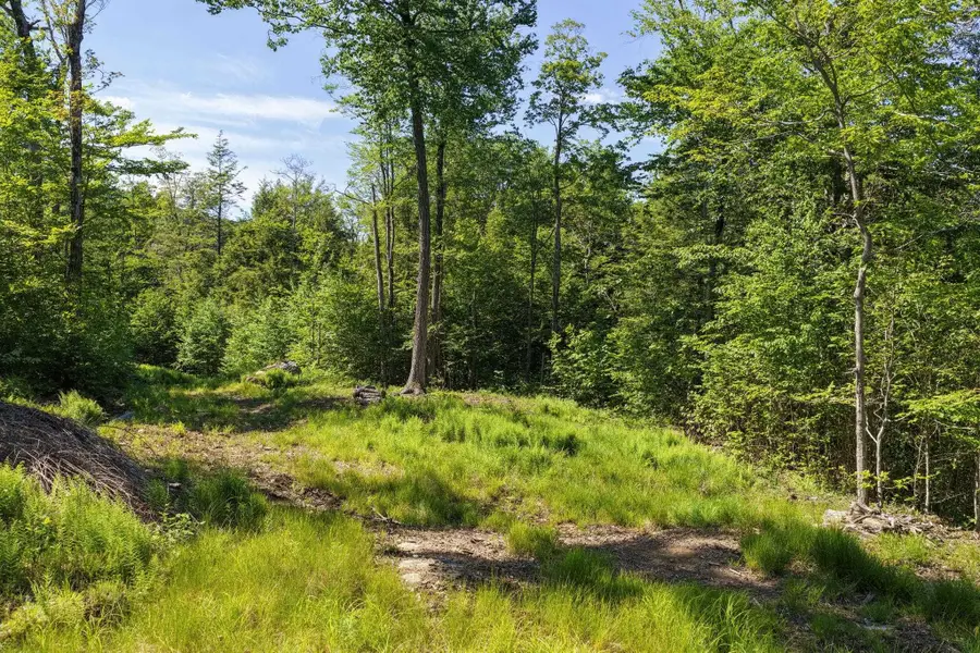 381 Whitaker Farm Road, Marlboro, VT 05344 - #2