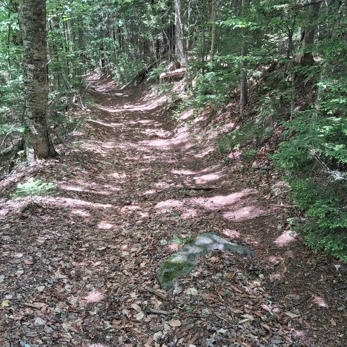 Lot 15 +37 acre Spruce Lane, Eden, VT 05652 - #1