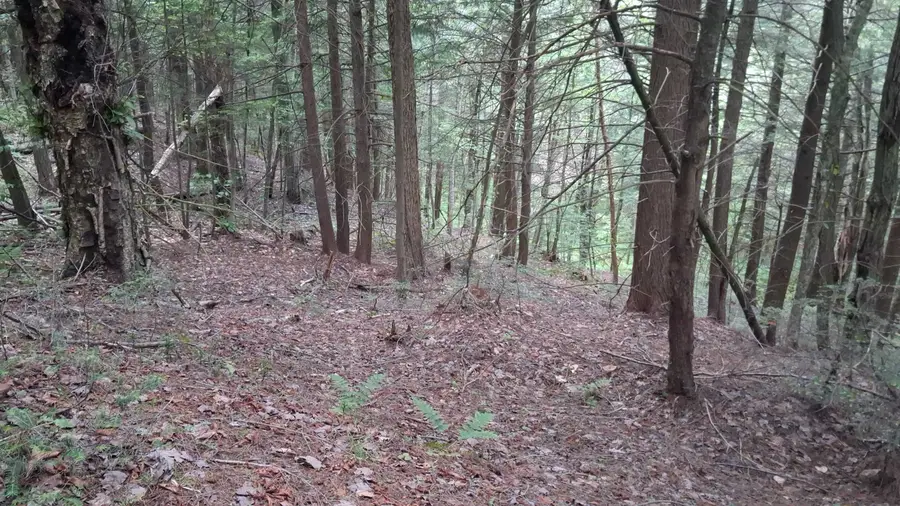 Lot 15 +37 acre Spruce Lane, Eden, VT 05652 - #2
