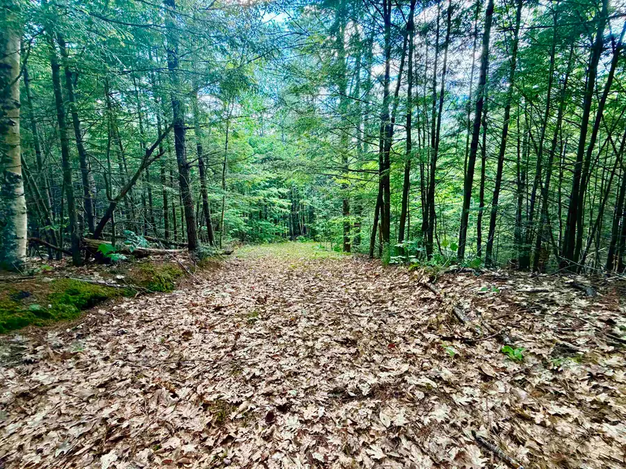 NH Route 175, Campton, NH 03223 - #3