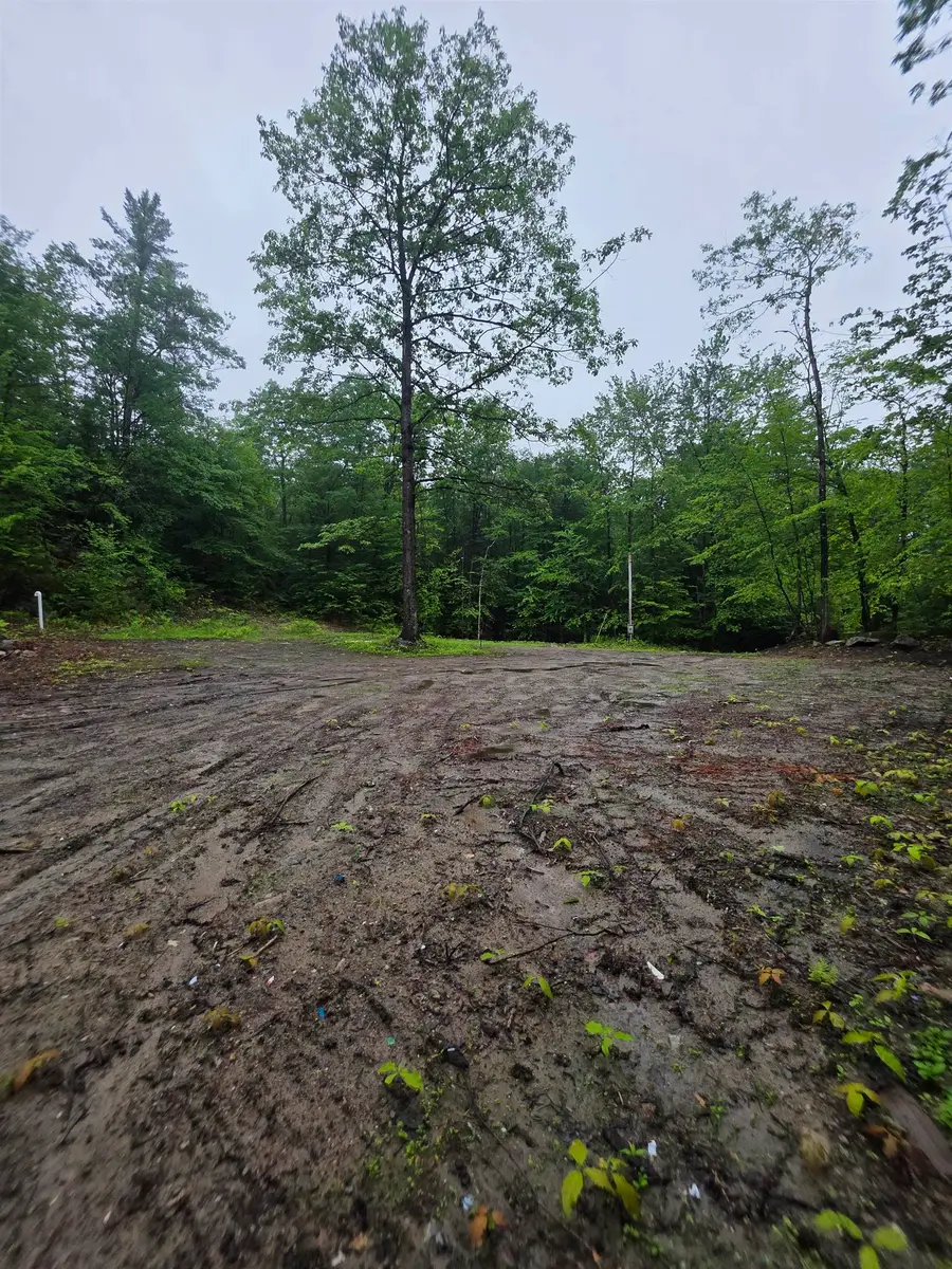 84 Texas Hill Road, Plymouth, NH 03264 - #3
