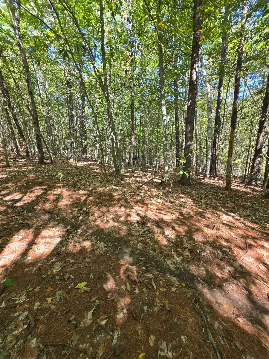 0 Grove Road, New Durham, NH 03855 - #3