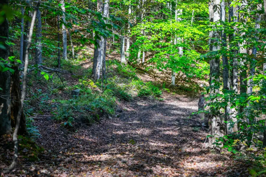00 Granite Ledge, Pomfret, VT 05059 - #3