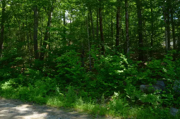 Scott Drive #Lot 112, Alton, NH 03810
