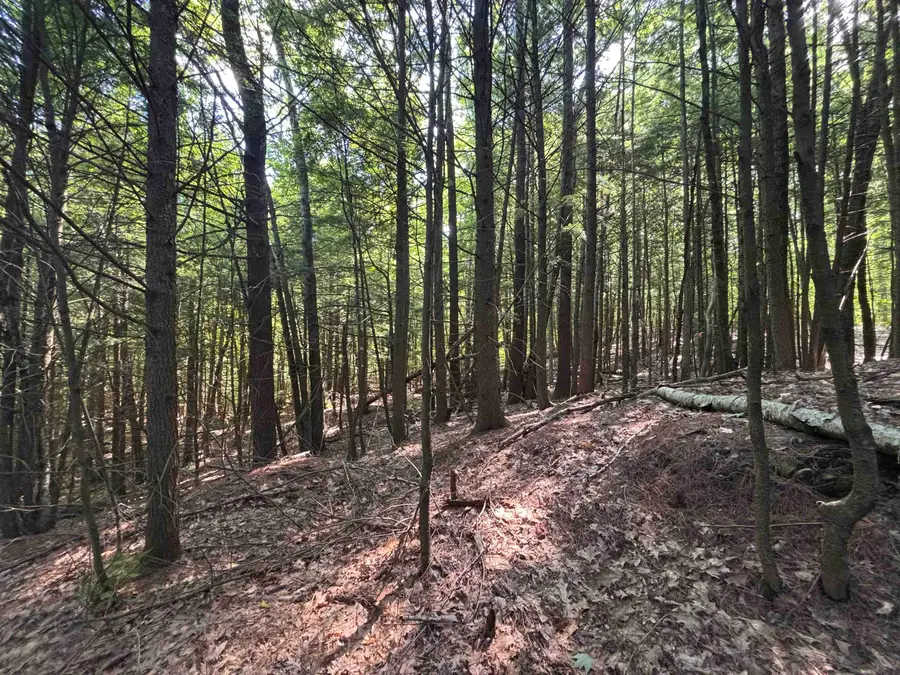 00 Windfall Road, Northfield, NH 03276 - #2