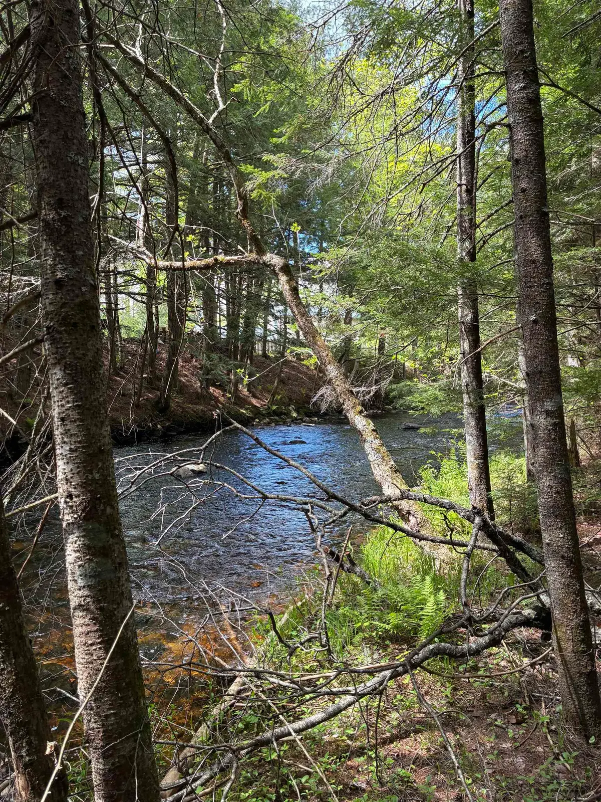 0 Grafton Turnpike Road, Canaan, NH 03741 - #1