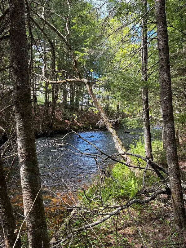 0 Grafton Turnpike Road, Canaan, NH 03741