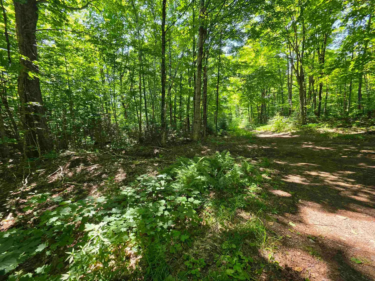 1700 Arcadia Lane, Westmore, VT 05860 - #1