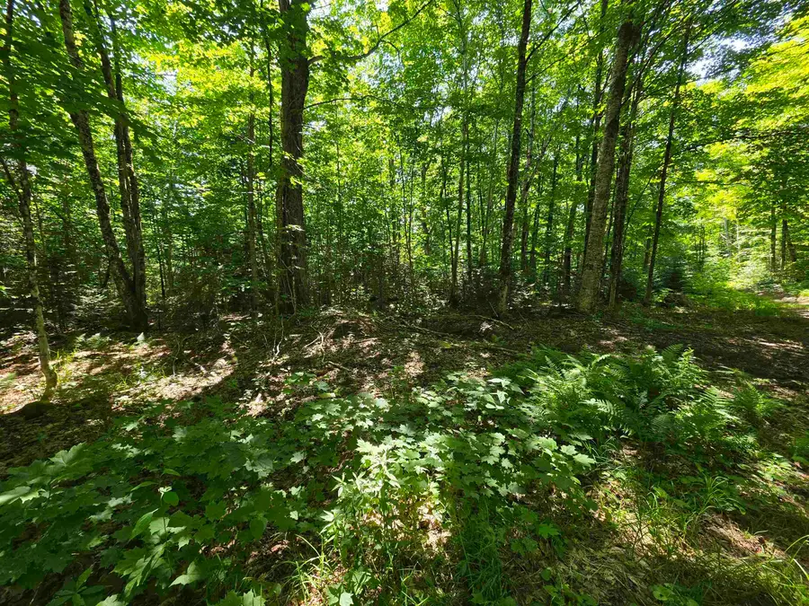 1700 Arcadia Lane, Westmore, VT 05860 - #2