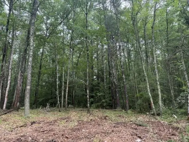 120 Rounala Road, Milford, NH 03055 - #3