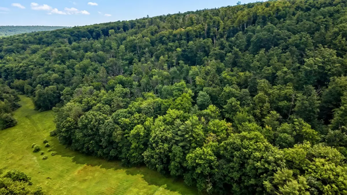 00 Hurricane Road #Backland, Westmoreland, NH 03467 - #1