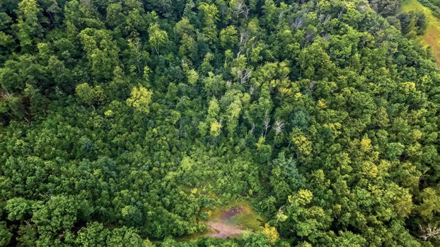 00 Hurricane Road #Backland, Westmoreland, NH 03467 - #3